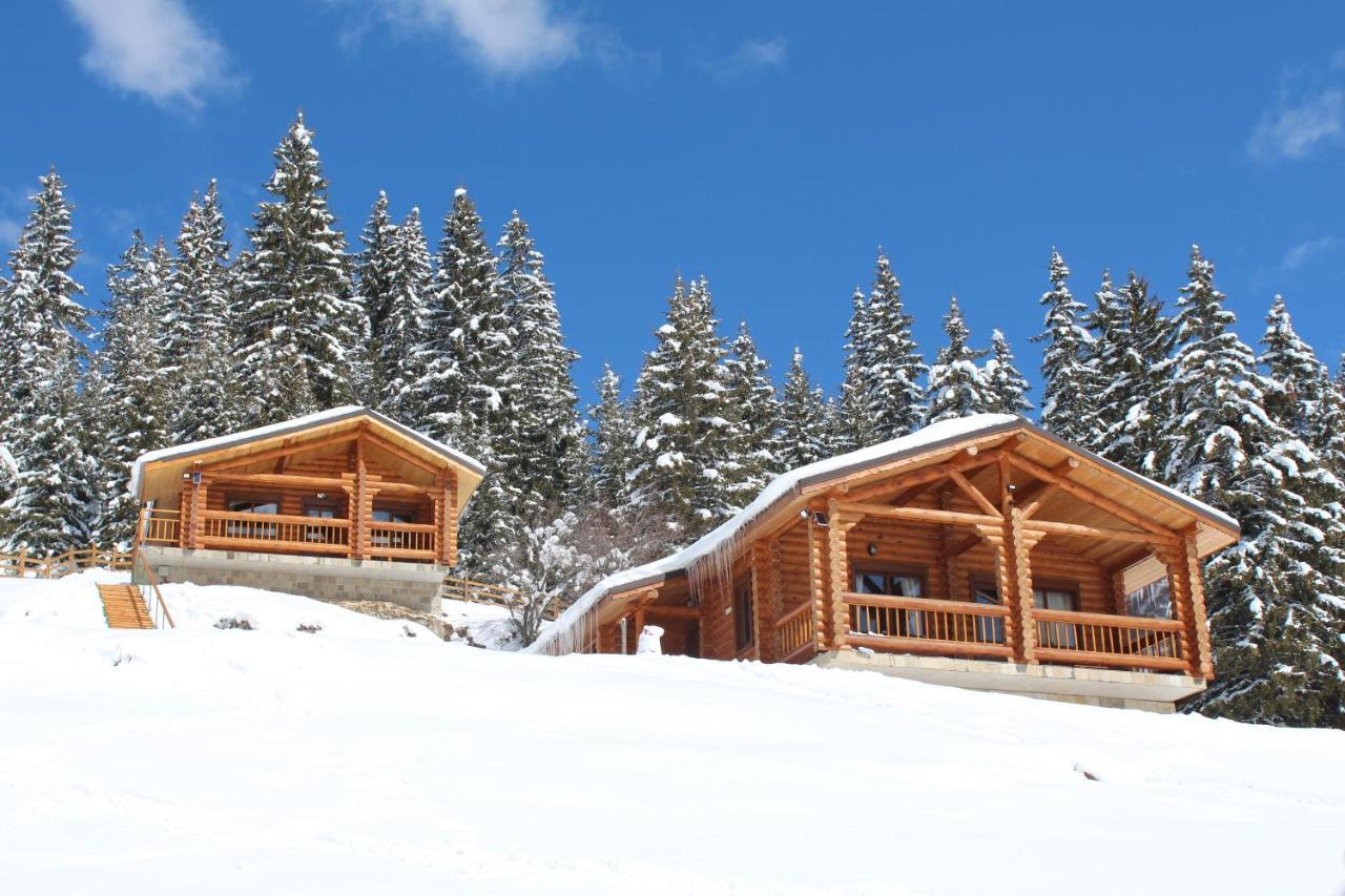 Къщи За Гости Под Звездите Pamporovo Exterior photo