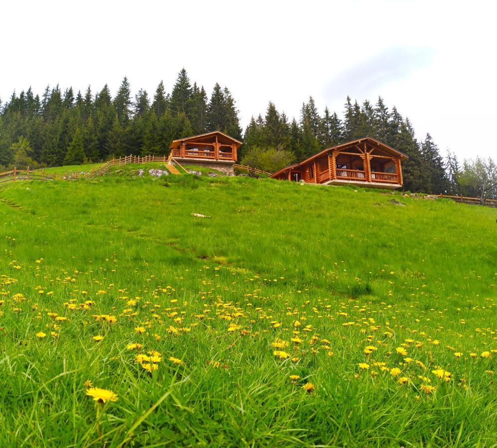 Къщи За Гости Под Звездите Pamporovo Exterior photo