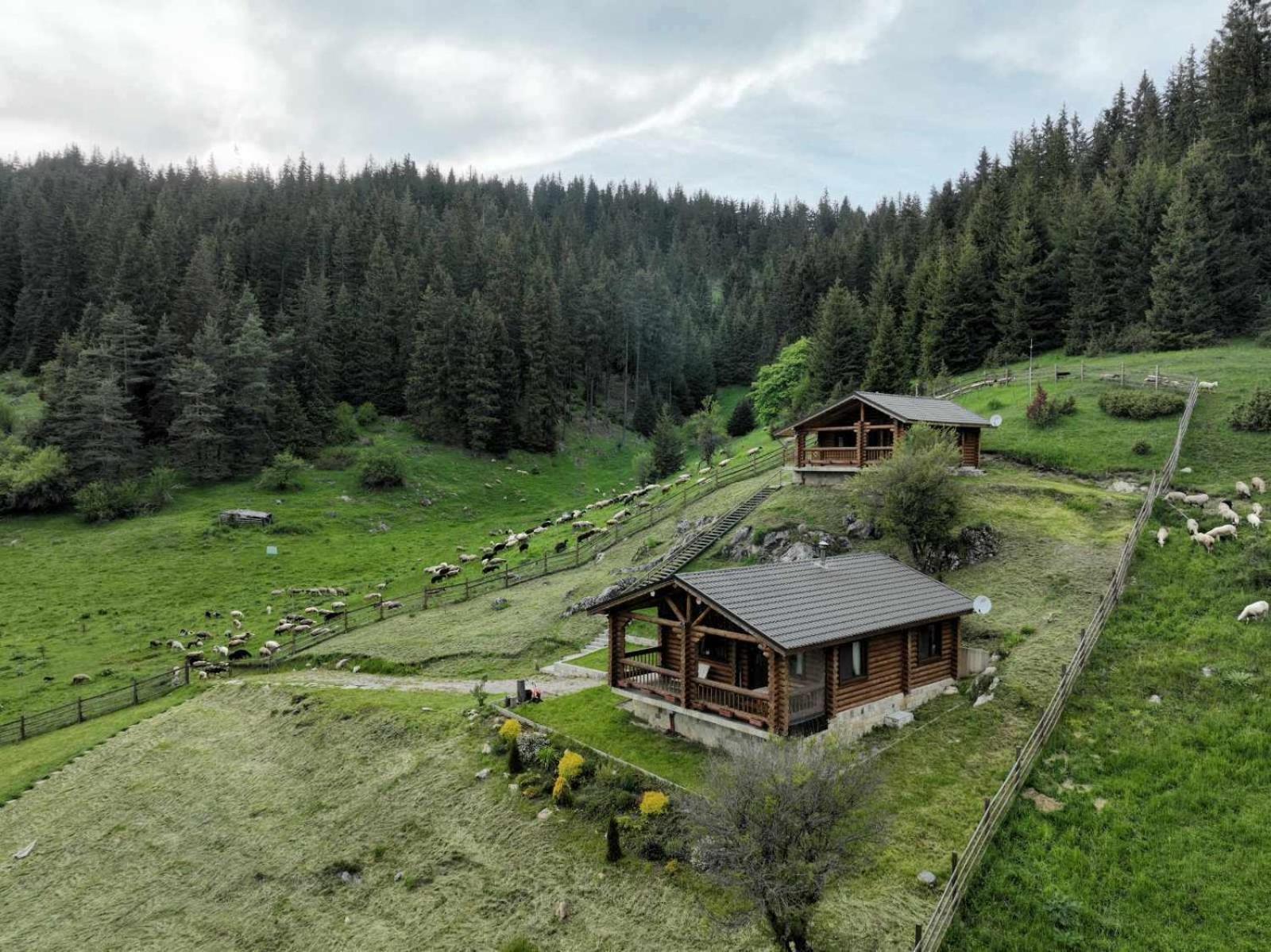 Къщи За Гости Под Звездите Pamporovo Exterior photo